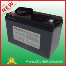 12V 110ah Deep Cycle AGM Battery for RV / Medical Mobility
